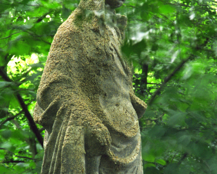Bird seed Madonna